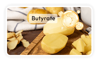 RS2 Resistant Starch